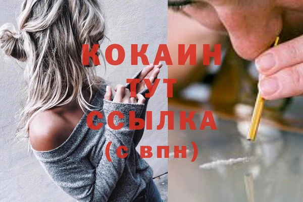 гашик Покачи