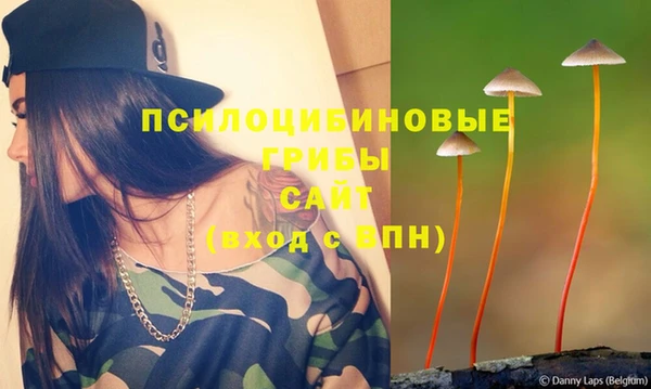 гашик Покачи