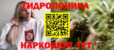 mix Кингисепп