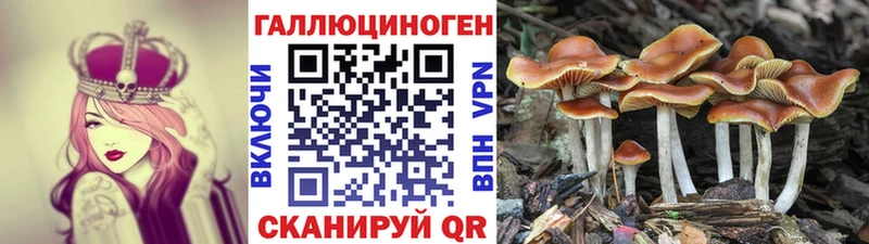 Галлюциногенные грибы Magic Shrooms  блэк спрут ТОР  Сланцы 