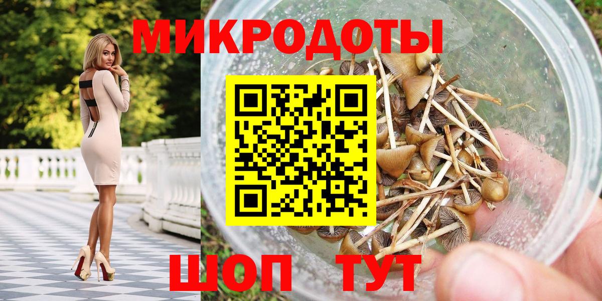 Псилоцибиновые грибы MAGIC MUSHROOMS  Галлюциногенные грибы Psilocybe  Сланцы  Вход с VPN 