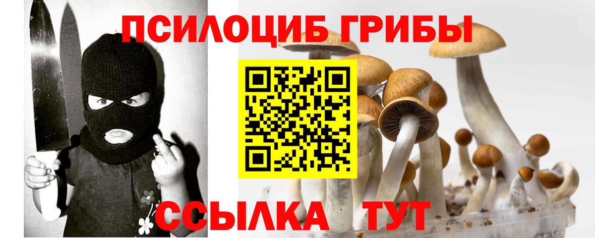 Галлюциногенные грибы Magic Shrooms Сланцы